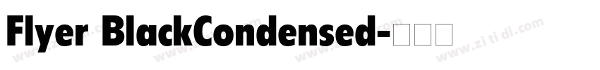 Flyer BlackCondensed字体转换